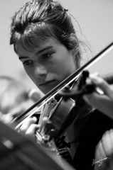 web-Violin.003.BW