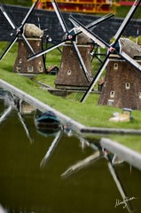 web-Madurodam.050