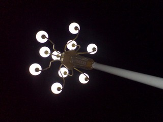 dark
