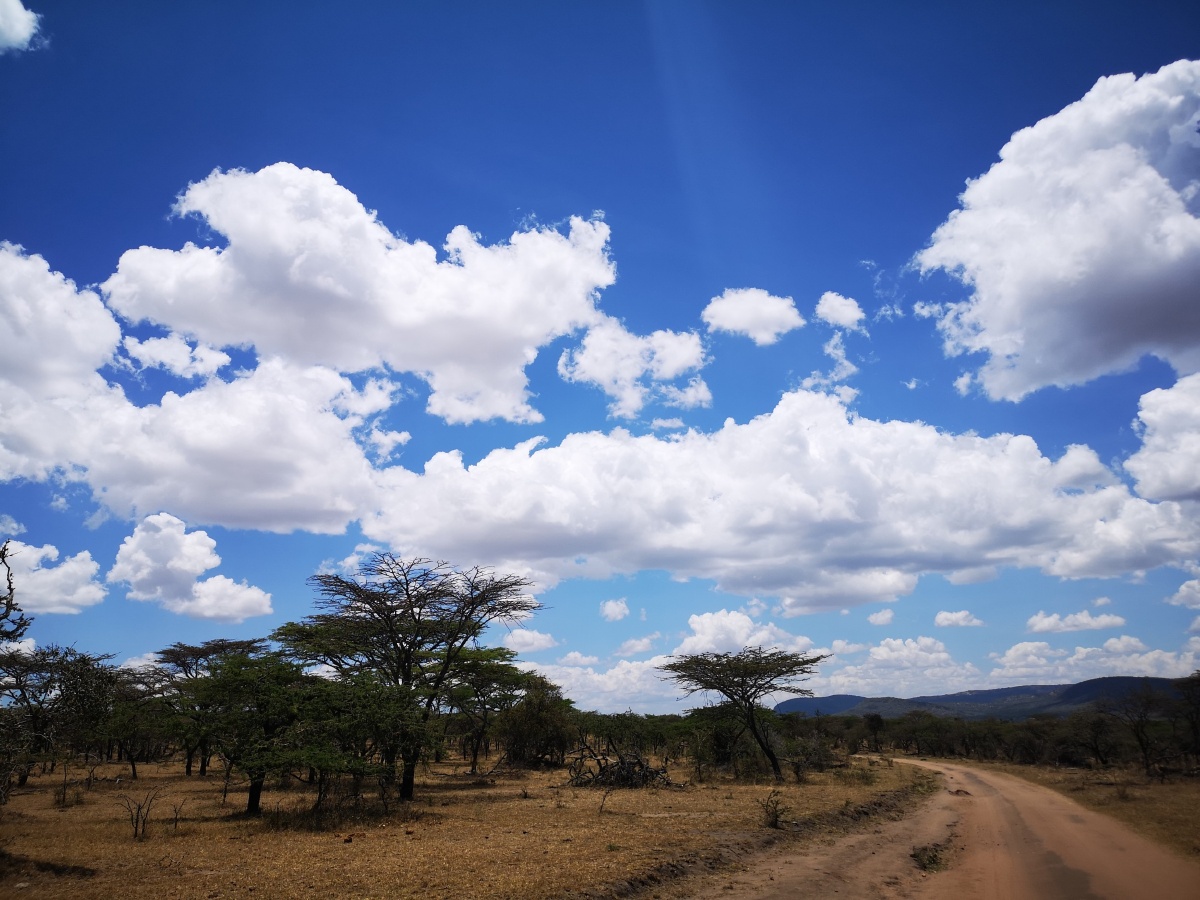 肯尼亚马赛马拉国家公园