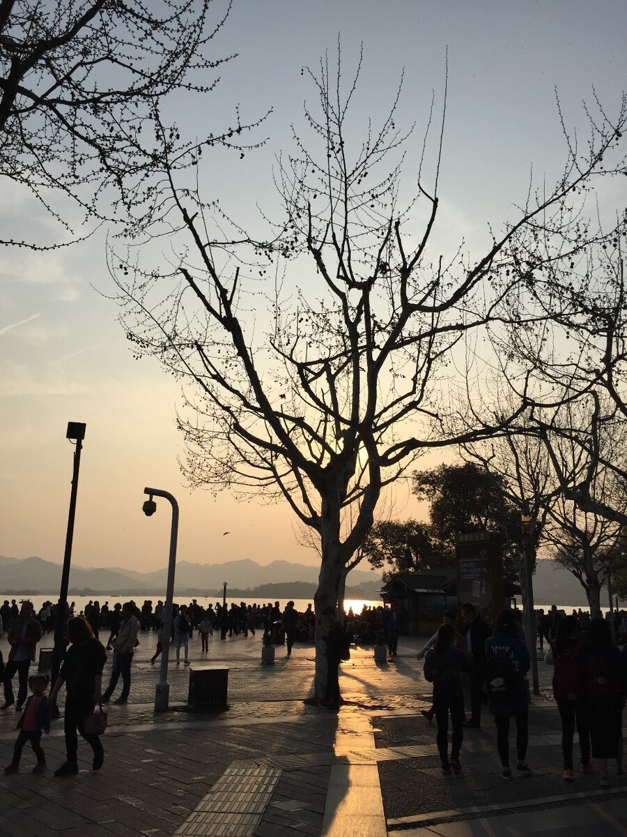 谢谢你的观赏  <br />
      关注 东之趣  更多精彩图片分享<br />
                        2015.3.30    <br />
                                    建东  制作