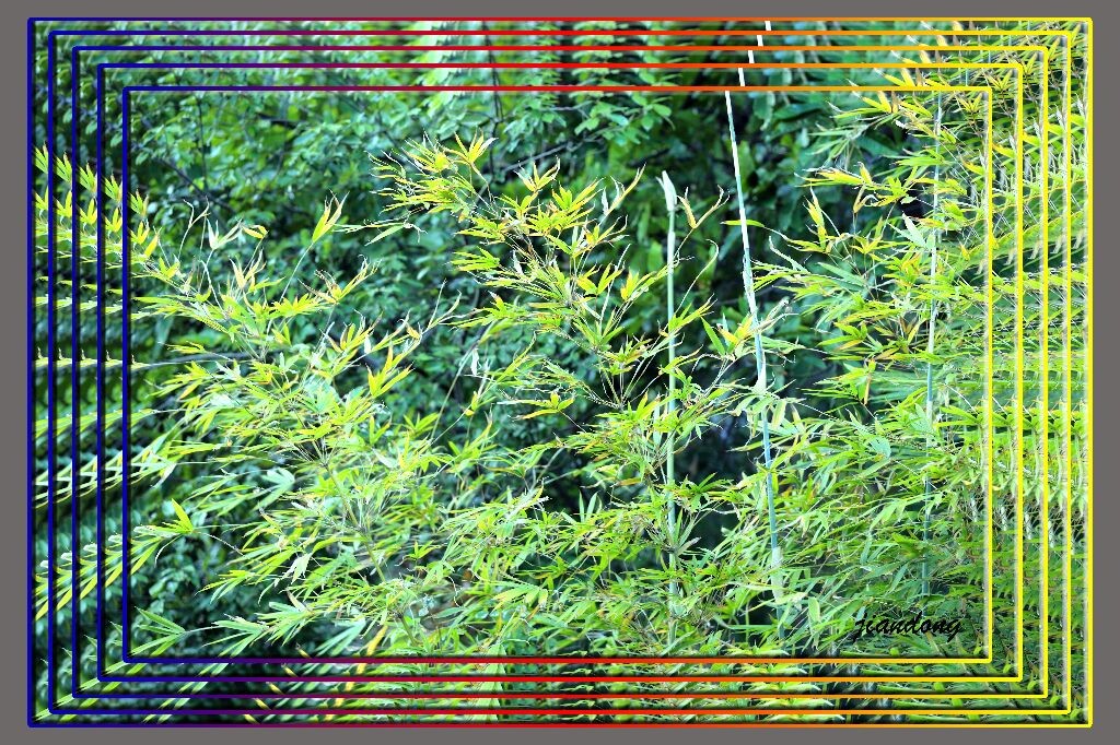 秋色中难忘的那片绿色