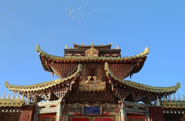 IMG_3566__