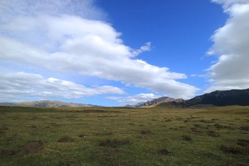 IMG_4178_