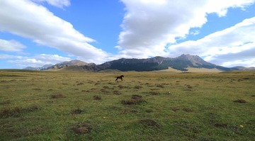IMG_4183_