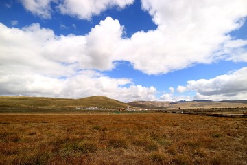 IMG_4428_