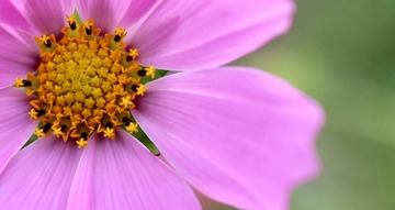 IMG_3828__