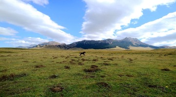 IMG_4183_ps