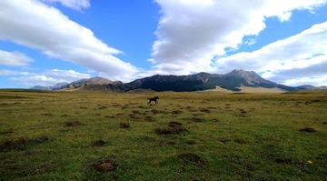 IMG_4183_PS