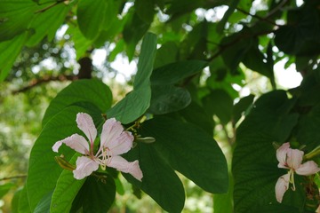P1010868