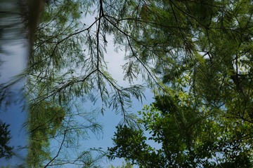 P1010870