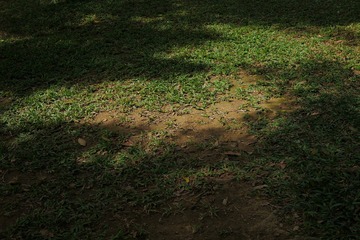 P1010859