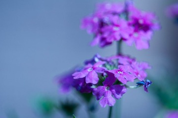 _DSC1045