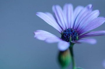 _DSC1047