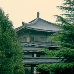 IMG_1975_