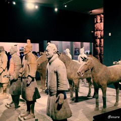 IMG_1981_