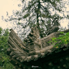 IMG_2011_