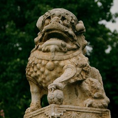 IMG_2035_