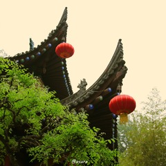 IMG_2063_