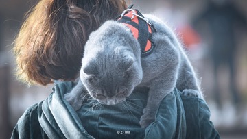 78615