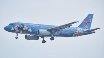 78545