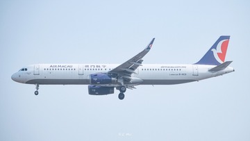 78541