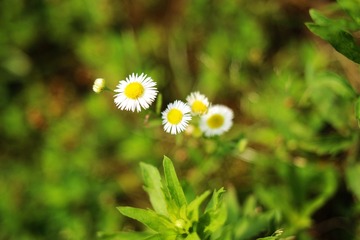 IMG_6321_