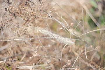 IMG_2125_