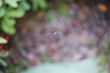 IMG_2307_