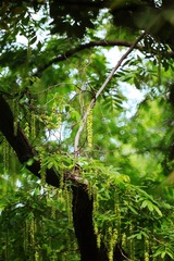 IMG_5088_
