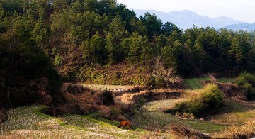 _DSC0240