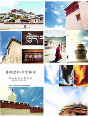 合集