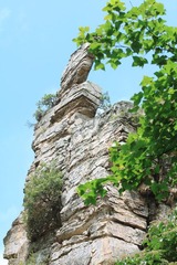 DPP_00012411.jpg