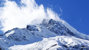 风吹雪落