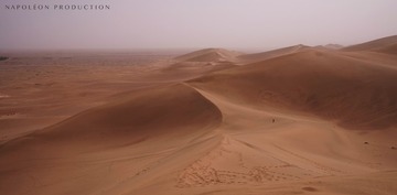 _DSF4356