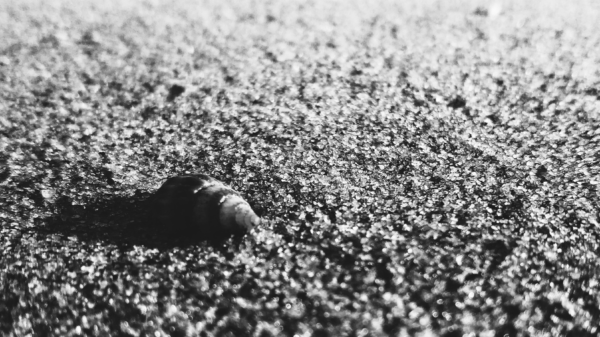 孤独的小海螺之抑郁症