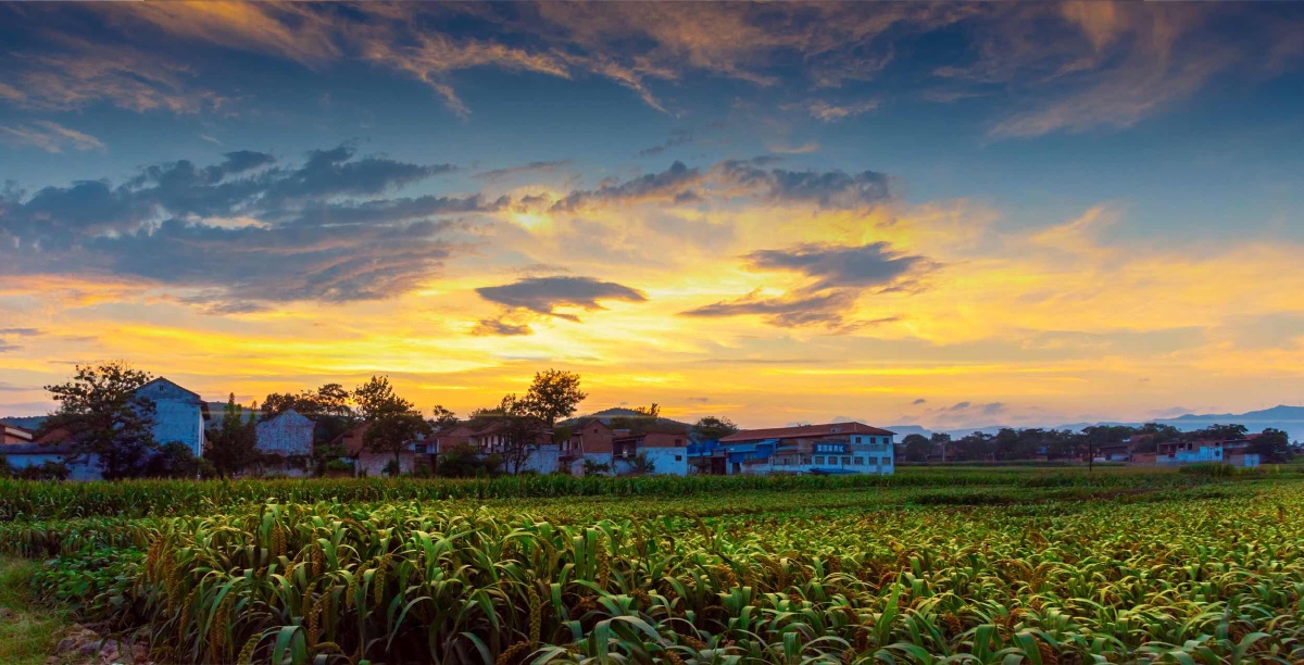 晚霞中的乡村