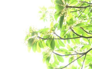 F32AD2CB-33D3-4880-BA91-0EF93716F3FC/L0/001