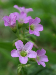2D67D72B-33A5-4EF9-AC54-FB2EB0FCB3BC/L0/001