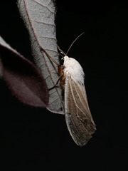 37323B7A-967D-4B47-818E-0EBD76C22527/L0/001