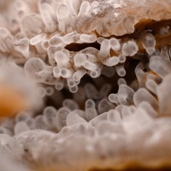 10F99310-DD23-4F1F-A42C-68E89DD12F9F/L0/001