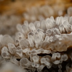 CE2FF6CE-8AE5-4E0D-BEE1-A6A40BBA8A64/L0/001