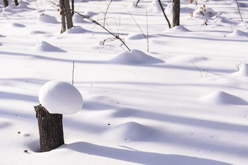 白雪皑皑