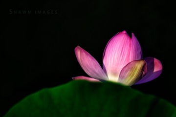 _DSC9123