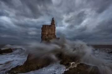 The waves