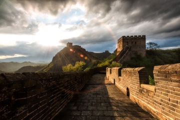 雨中独秀