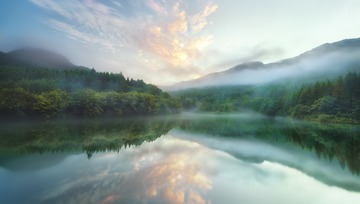 翡翠梦境