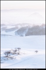 下雪的早晨