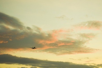 FE75905D-B6D4-4446-95F2-98981E0BB2D1/L0/001
