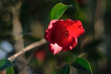 照片025